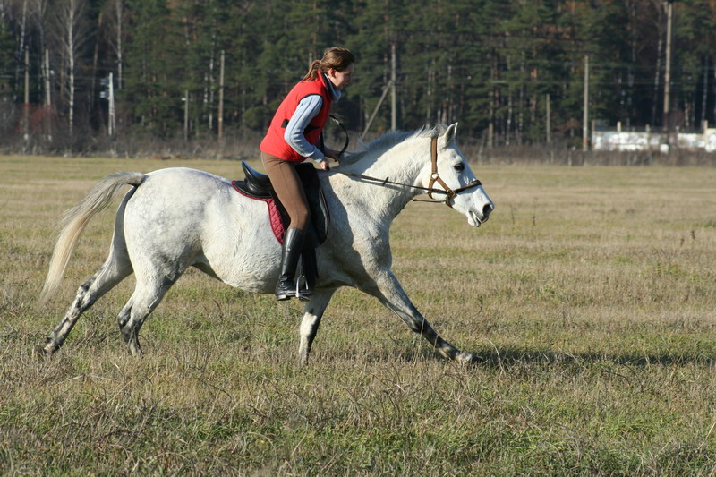 IMG_1193.jpg1.jpg"%20height="533"%20width="800